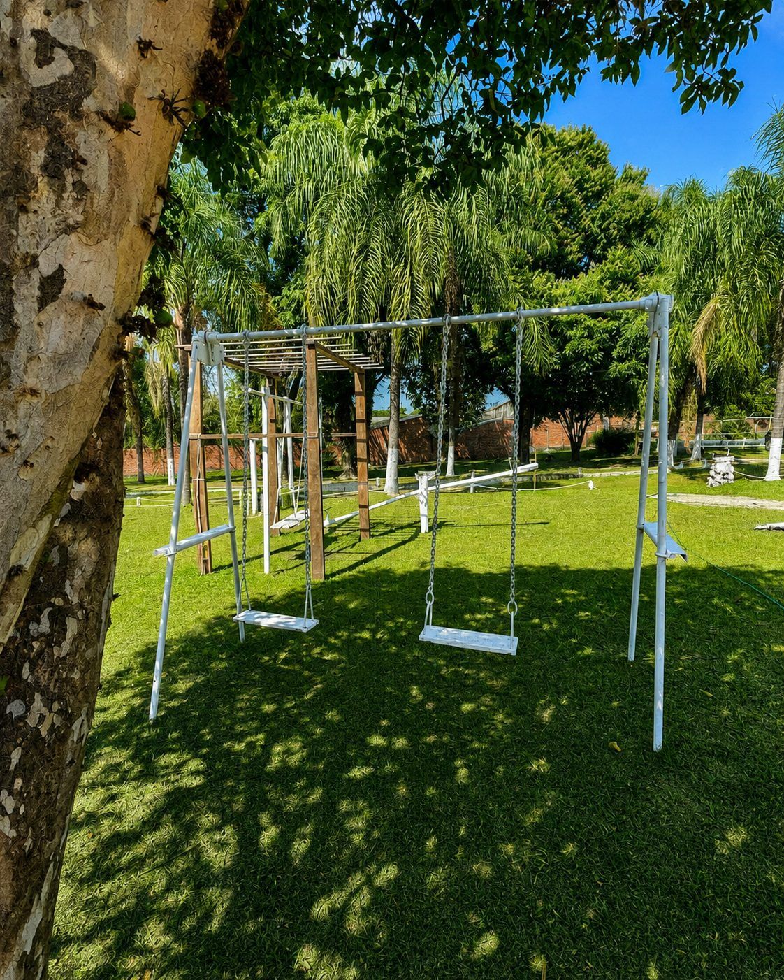 Área de parque da chácara