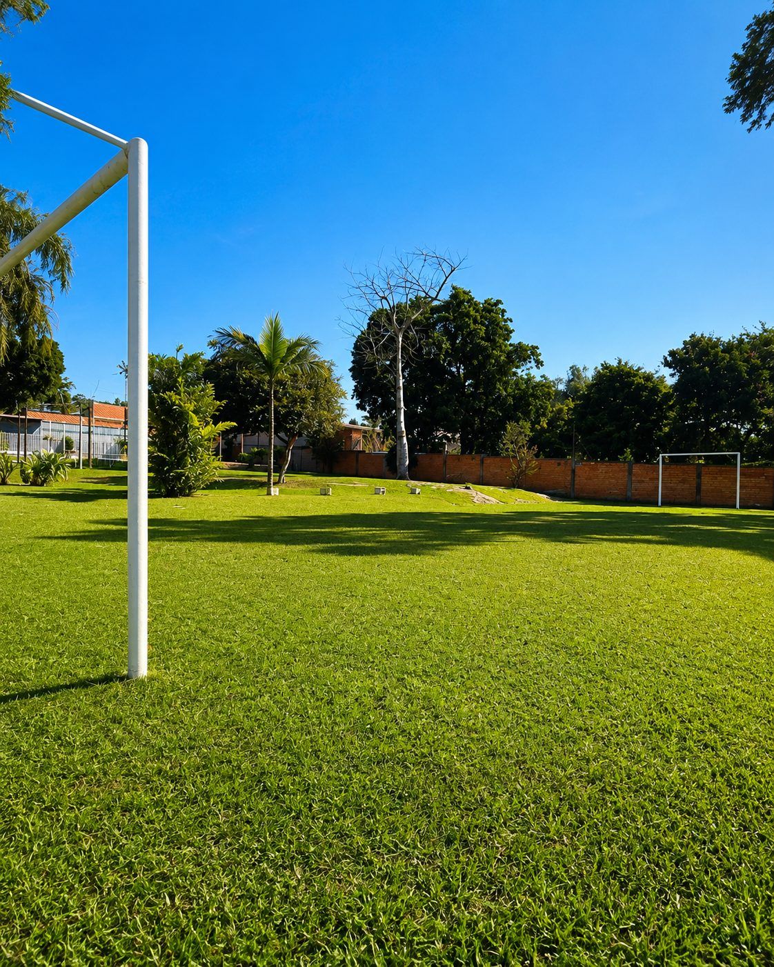 Campo aberto da chácara